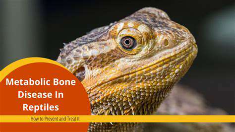 Common Reptile Illnesses and Their Symptoms
