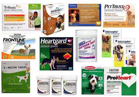 ChoosingtheRightHeartwormPreventionMedication