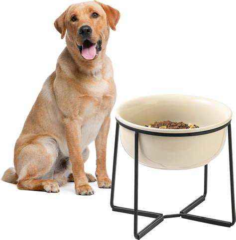 ElevatedDogBowls:ComfortandSupportforYourDog