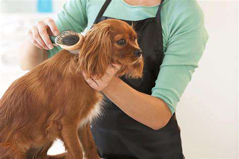 Guide to Socializing Your Puppy
