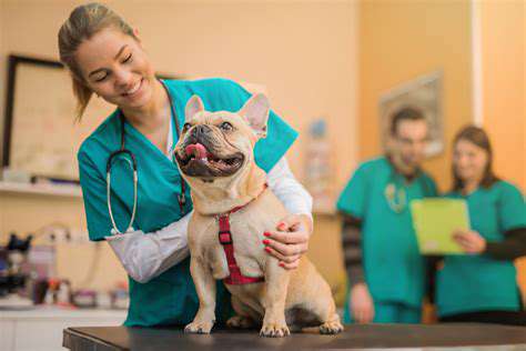 HealthandVeterinaryCare