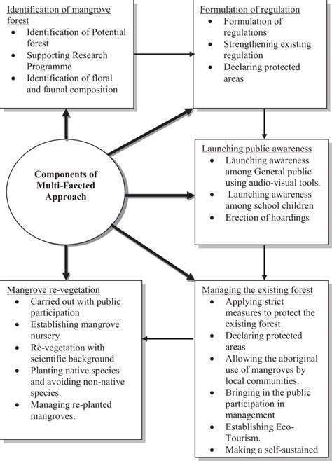ImplementingEffectiveTreatmentsforFinRot:AMultifacetedApproach