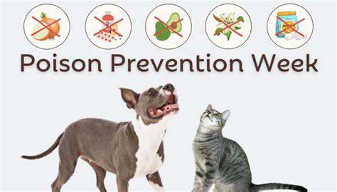 Tips for Recognizing Poisoning Symptoms in Pets