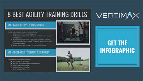 Best Ways to Train Your Dog for Agility (Beginner)