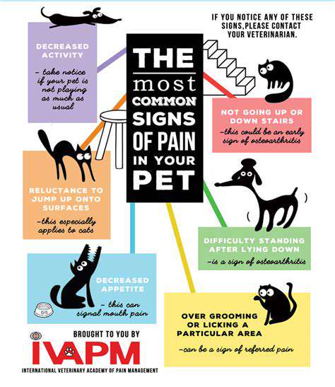 Tips for Recognizing Pain in Your Pet
