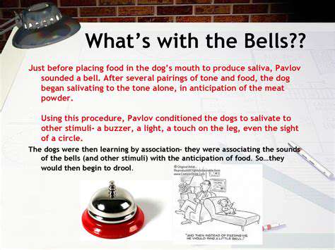 How to Teach Your Cat to Ring a Bell
