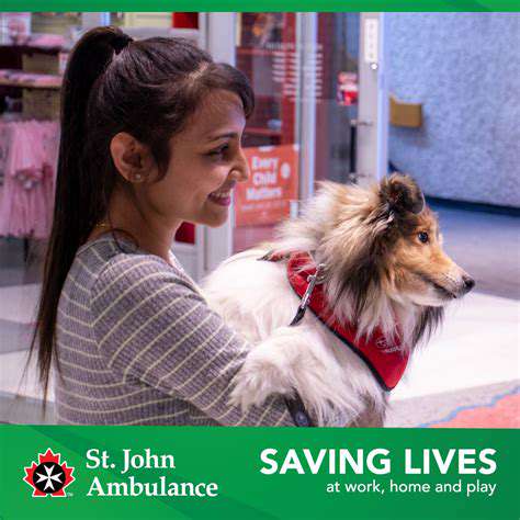FromHospitalstoSchools:ExpandingtheReachofAnimalTherapy