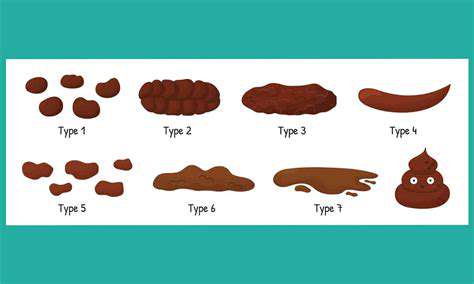 IdentifyingtheRootCausesofPoop-EatingBehavior