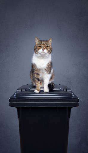 IntroductiontoEco-FriendlyPetWasteDisposal