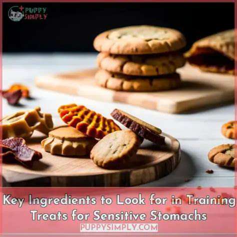 KeyIngredientstoLookForinSensitiveStomachFormulas