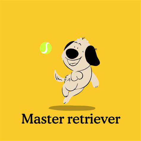MasteringtheBasics:TeachingFetchandWaterConfidence