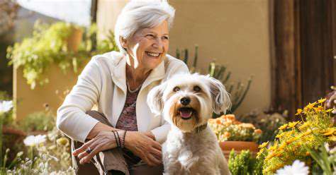 Guide to Adopting a Senior Dog [What to Expect]