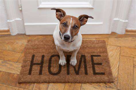 PreparingYourHomeandLifestyleforaNewDog