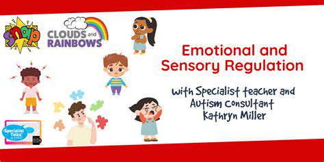 SensoryRegulationandEmotionalSupport