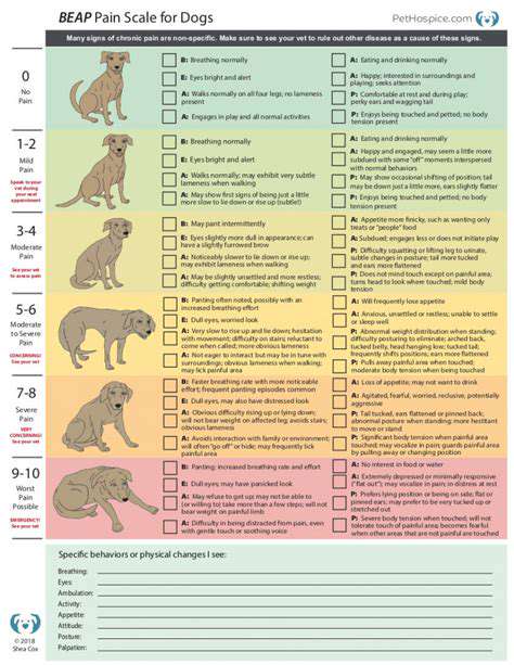 AssessingPhysicalSignsofPaininPets
