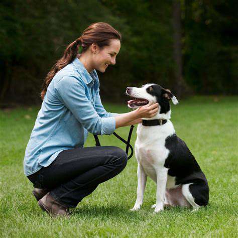 Beginner's Guide to Bringing Home a New Puppy