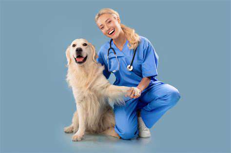HealthConsiderationsandVeterinaryProcedures:EnsuringaHealthyJourney