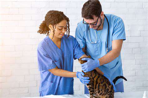 ManagingPotentialHealthIssuesandVeterinaryCare