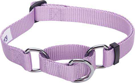 Best Training Collars for Dogs (Types & Uses)