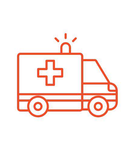 How to Administer Pet First Aid for Cuts