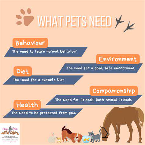 3.UnderstandingYourPet'sNeeds:RecognizingPotentialRisks