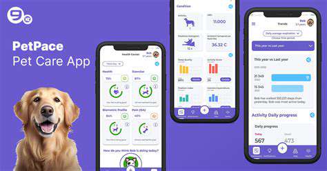 Best Pet Health Tracking Apps