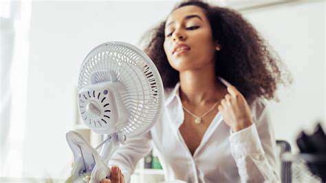 Guide to Summer Pet Care [Tips for Heat]