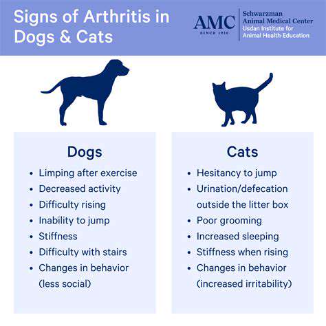 DietaryConsiderationsforPetswithArthritis