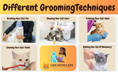 DifferentGroomingTechniquesandTheirMeanings