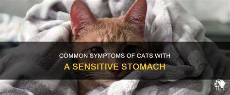 IdentifyingSignsofaSensitiveStomachinCats