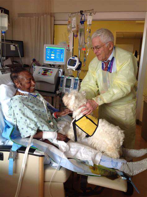 InnovativeProgramsIncorporatingAnimalsinHospitalCare