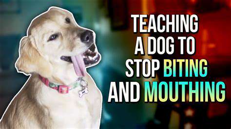 How to Stop Your Dog From Nipping (Puppy & Adult)