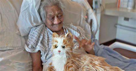 RemarkableStoriesofPetsUpliftingHospitalPatients