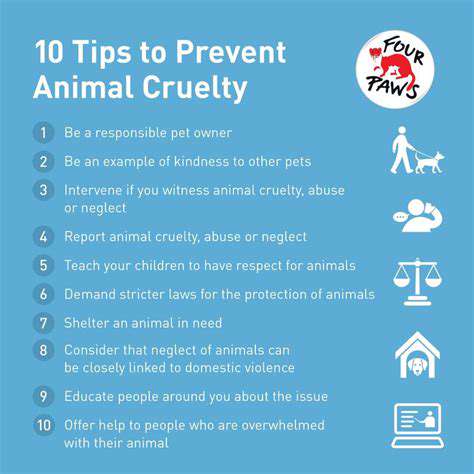 How to Help Animals in Emergency Situations