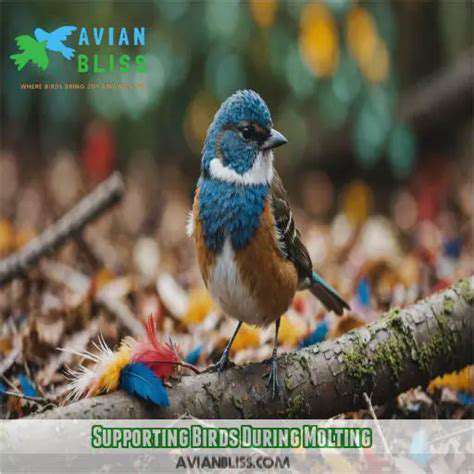 Understanding Your Bird's Molting Process