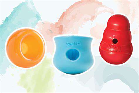 Best Interactive Dog Toys