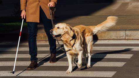 AdaptingtoaNewDynamic:LifewithaServiceDog