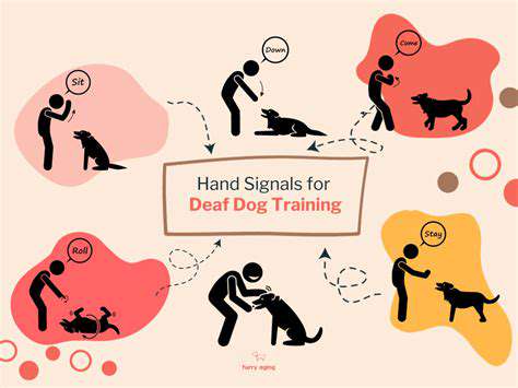 AdvancedTrainingTechniquesforDeafDogs
