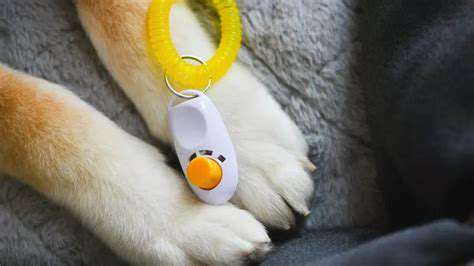 Best Pet Training Clickers