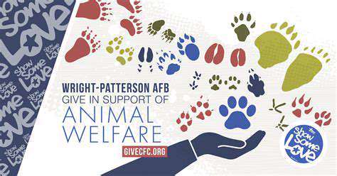 How to Help Animals in Need Globally