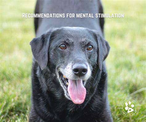 How to Care for a Working Dog