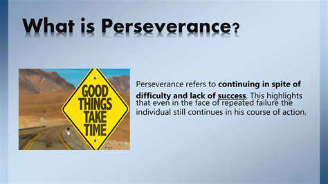 PatienceandPerseverance:AcknowledgingtheLongRoadAhead