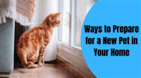 Guide to Adopting a Pet with a Chronic Condition