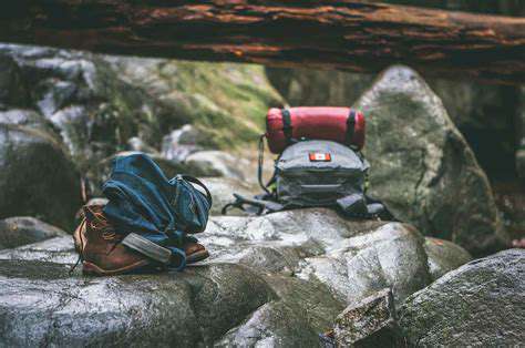 Living with a Pet Who Loves the Outdoors