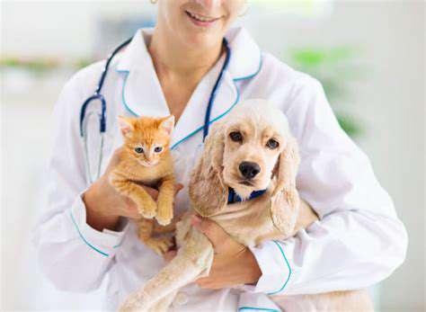 Top Dog Treats That Are Healthy