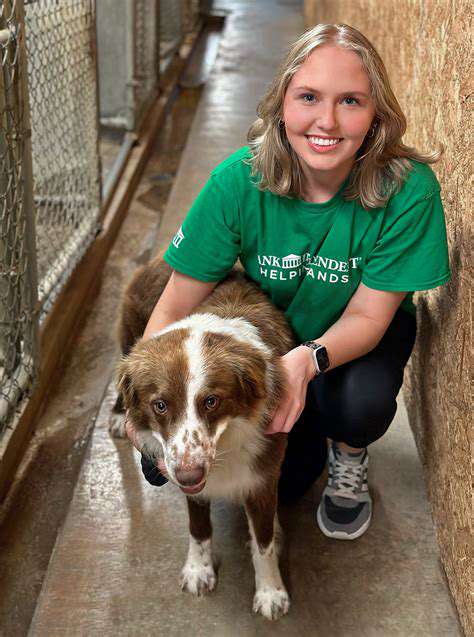 SupportingLocalAnimalSheltersandRescues:InvestinginYourCommunity