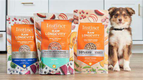 Top Brands for Raw Dog Food