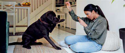 AssessingYourAbilitytoCareforaSpecialNeedsPet