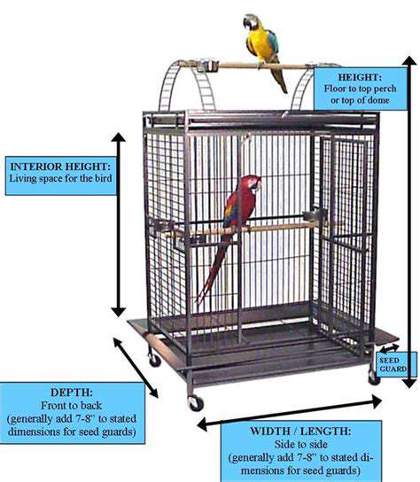 CageDimensionsandInteriorSpace