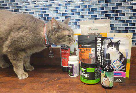 Best Joint Supplements for Senior Cats [2025]
